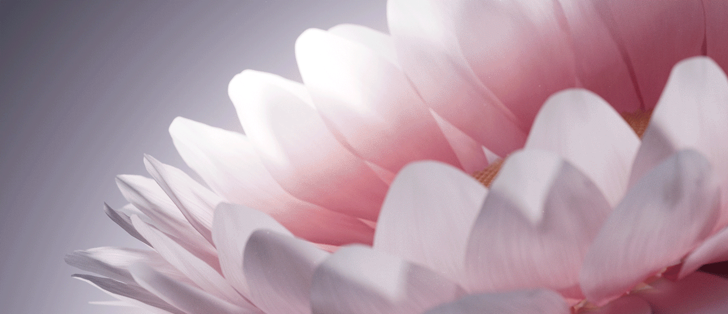 Ripples: Nature's Veil（图ZMzg4NTYyNjMy） - 产品 - 站酷设计师狐狸麻糖王启航原创素材 - 站酷ZCOOL