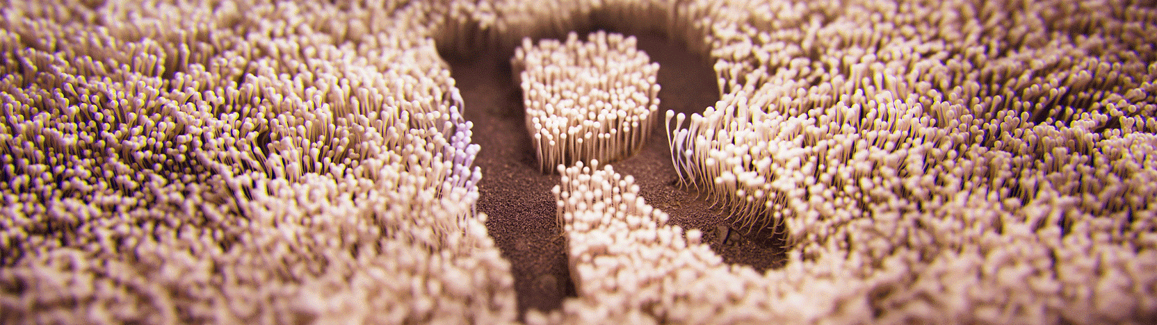 Ripples: Nature's Veil（图ZMzg4NTYyNjI0） - 产品 - 站酷设计师狐狸麻糖王启航原创素材 - 站酷ZCOOL