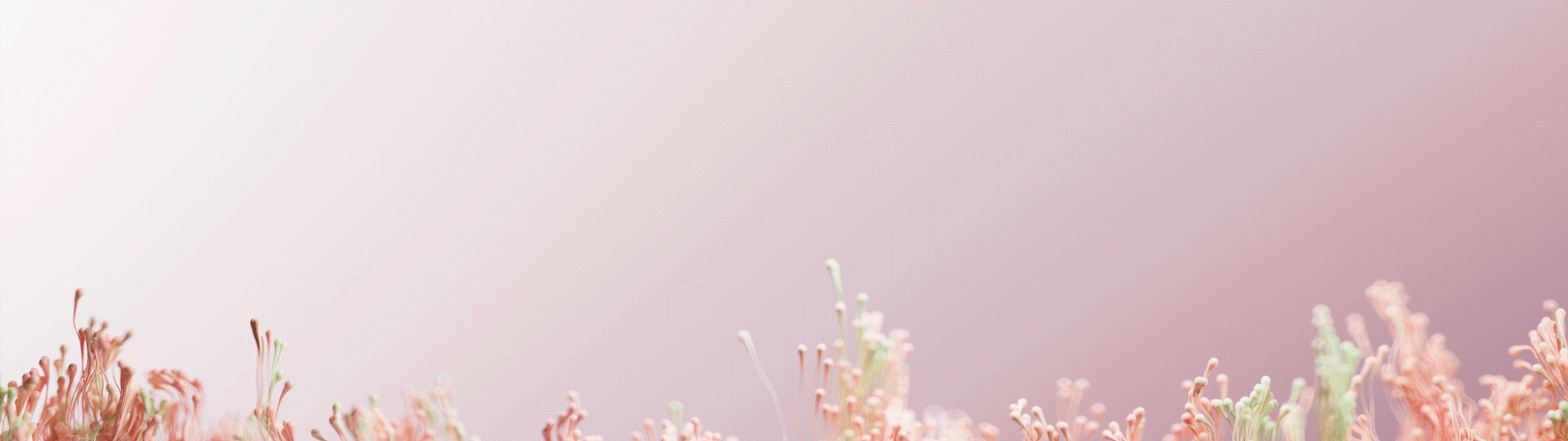 Ripples: Nature's Veil（图ZMzg4NTYyNjIw） - 产品 - 站酷设计师狐狸麻糖王启航原创素材 - 站酷ZCOOL