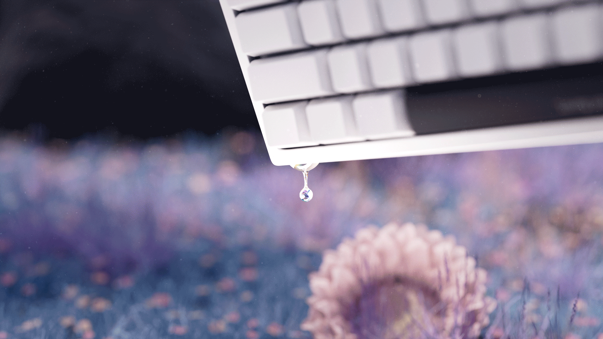 Ripples: Nature's Veil（图ZMzg4NTYyNjM2） - 产品 - 站酷设计师狐狸麻糖王启航原创素材 - 站酷ZCOOL