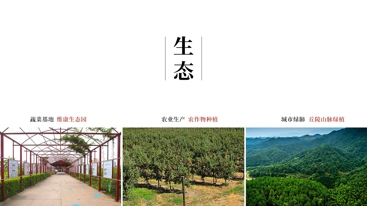 广东省东莞市清溪镇铁松村logo设计（图ZMzg4NTYyNzMy） - Logo - 站酷设计师昕昕向荣2024原创素材 - 站酷ZCOOL