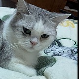 芝士丨UI设计师的头像