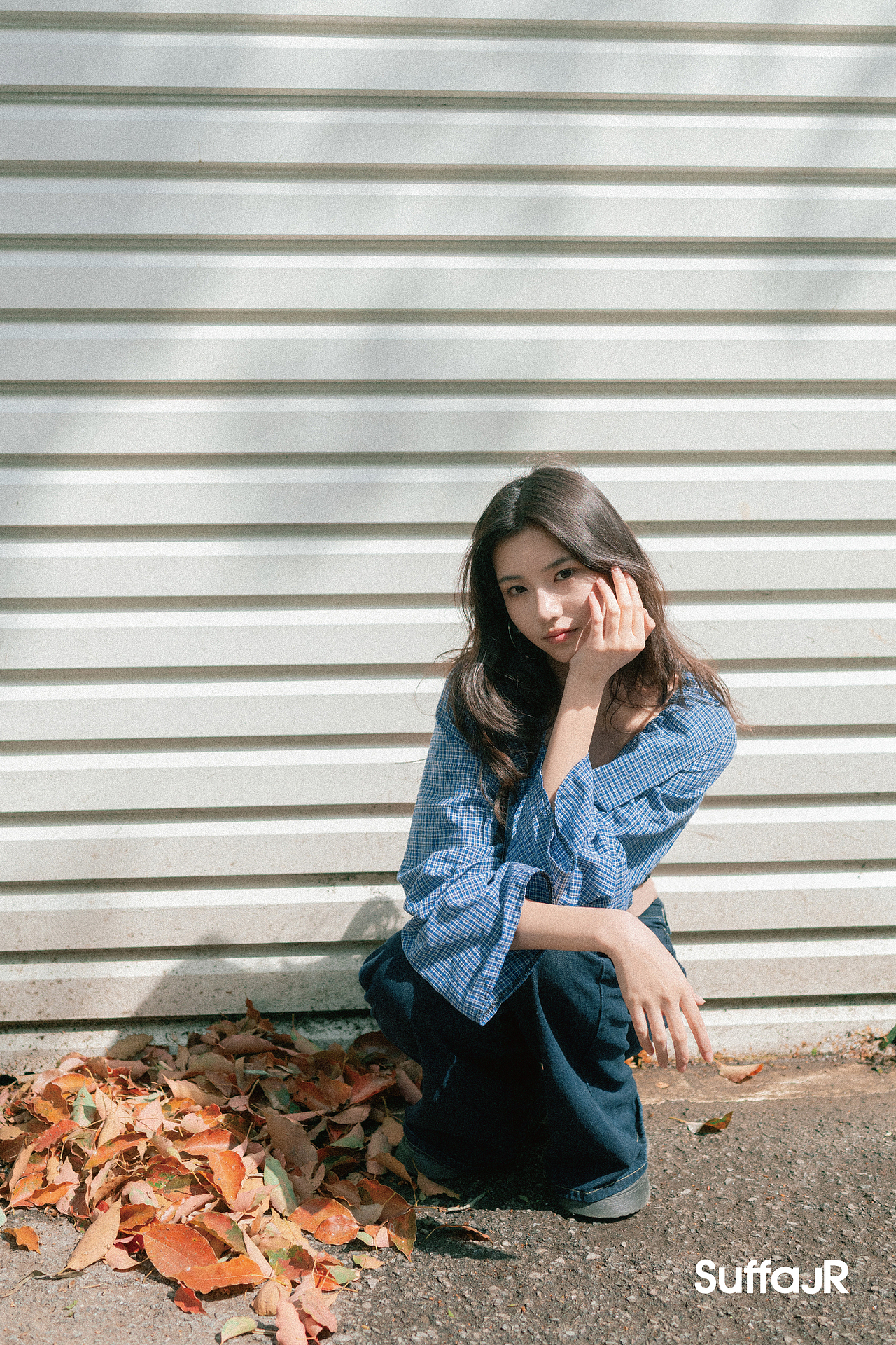 花里花外阳光赐予