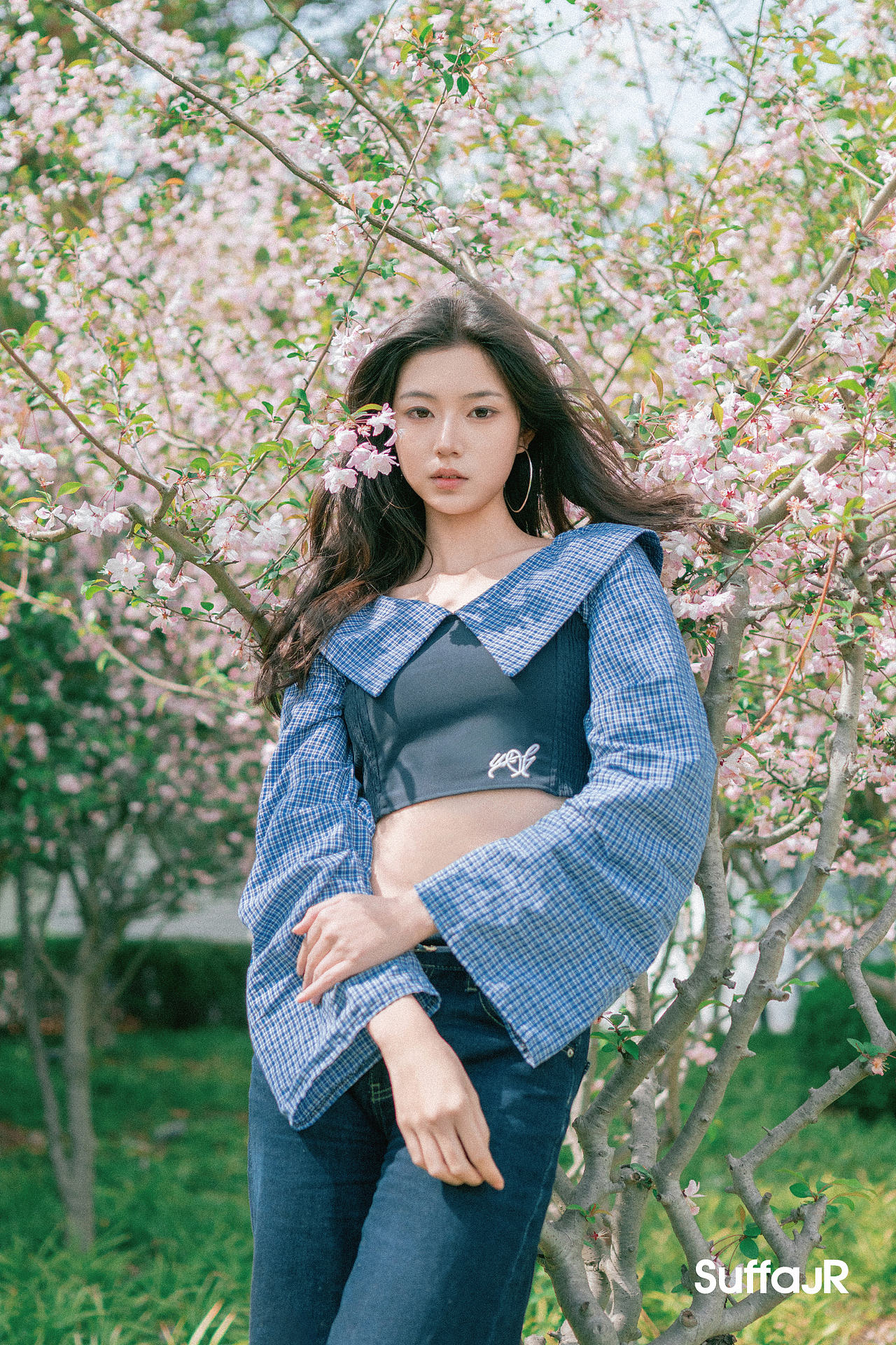 花里花外阳光赐予