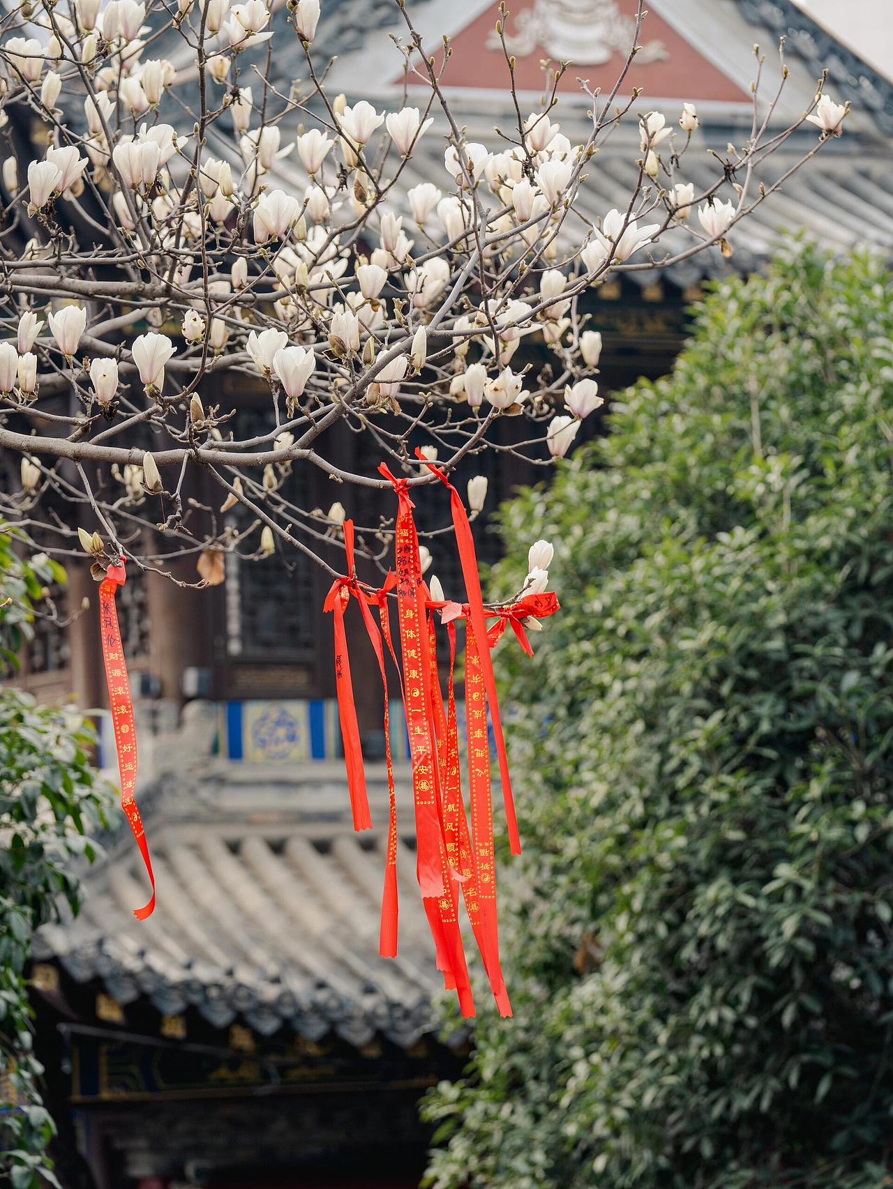 长春观,道教建筑中的藏族与欧式风情之美!