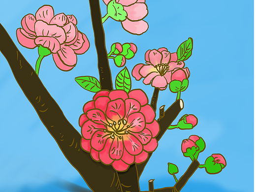 手绘海棠花练习
