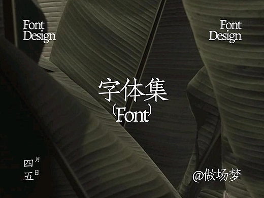 字体集·二〇二五二期