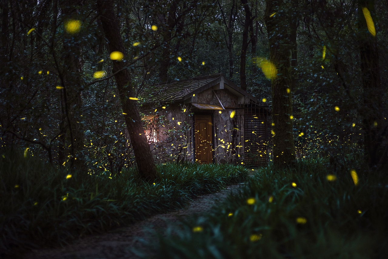 这个地方很神秘，没有人来，夏天有超多的萤火虫。