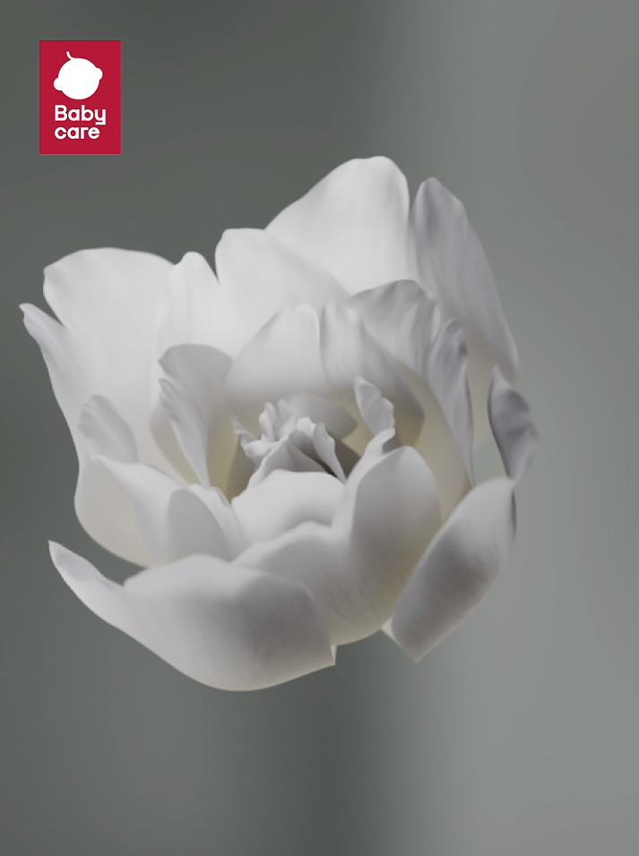 Babycare山茶花艺术探索系列（图ZMzg4NTkxNDMy） - 动画/影视 - 站酷设计师BaiYeSaMa原创素材 - 站酷ZCOOL
