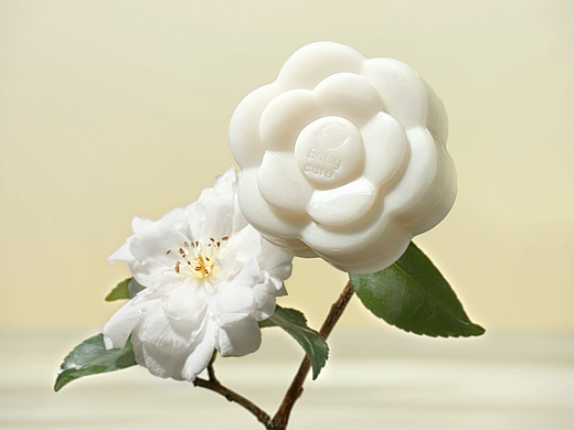 Babycare山茶花艺术探索系列