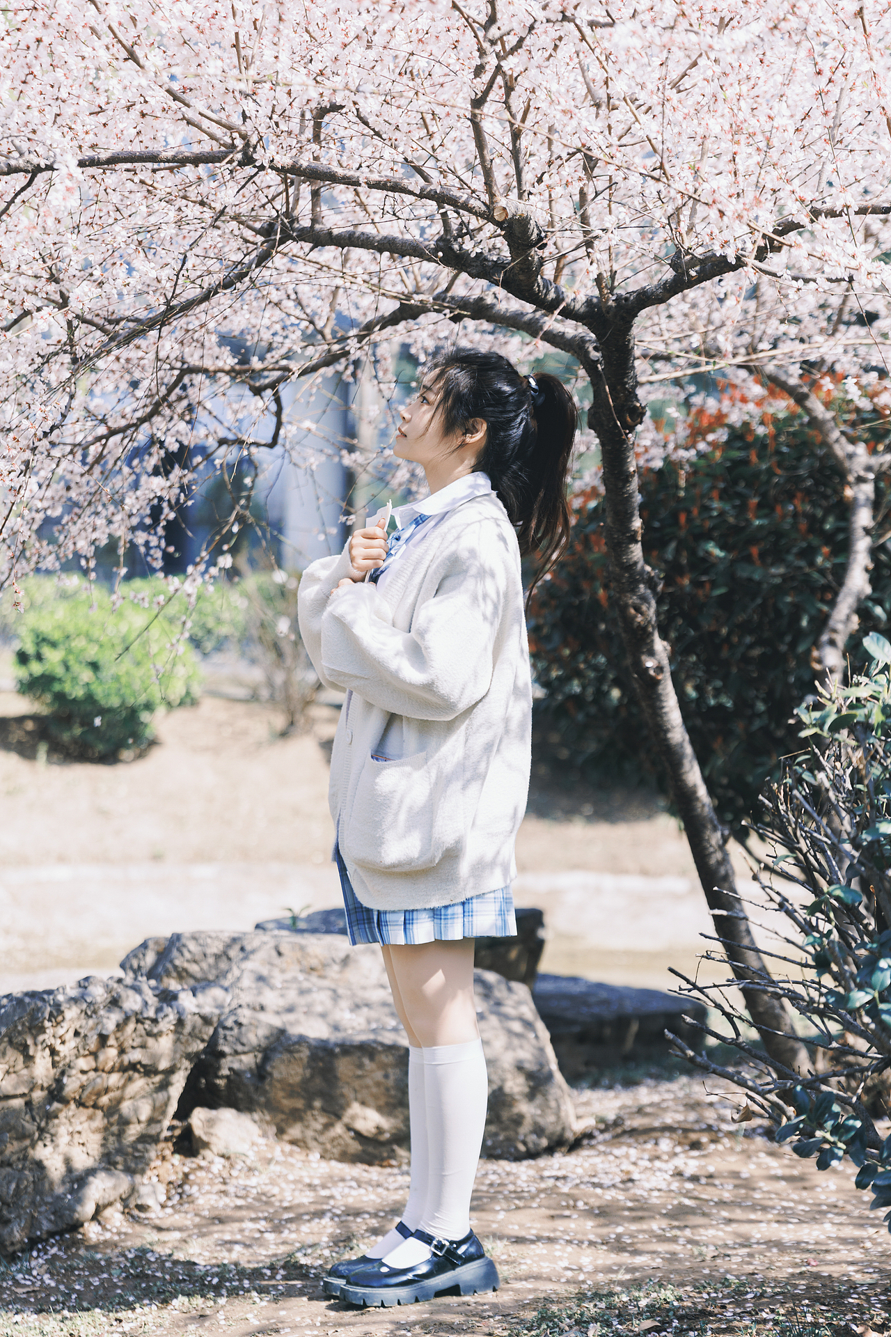 春日予思（圖ZMzg4NTkyNzY4） - 人像攝影 - 站酷設(shè)計(jì)師馬聽(tīng)潯原創(chuàng)素材 - 站酷ZCOOL