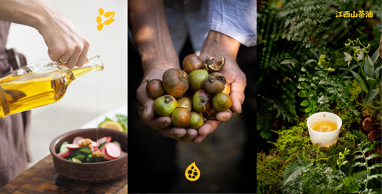 品牌设计 | 江西山茶油