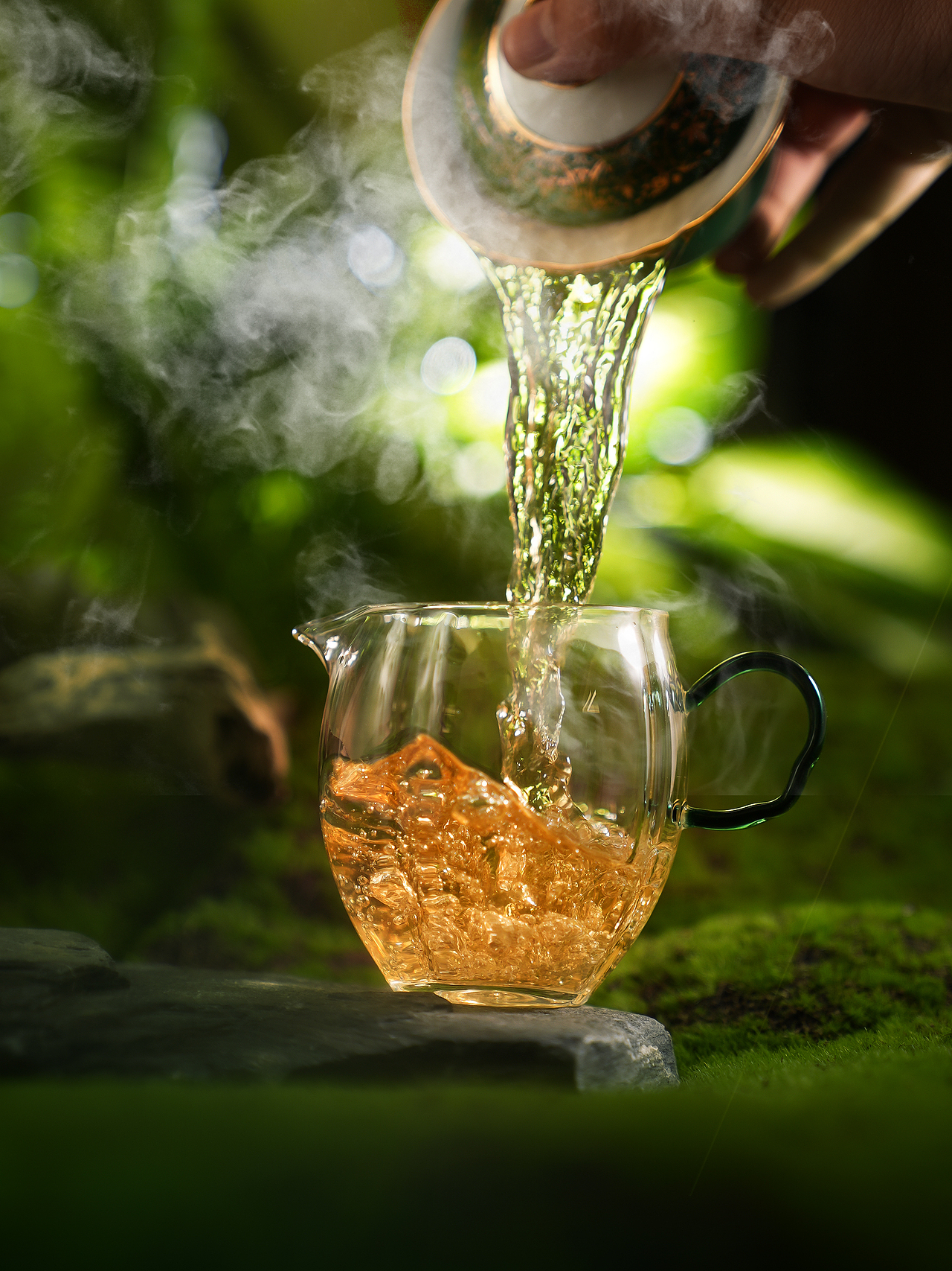 白茶茶饼拍摄 热带绿色丛林感 神秘感