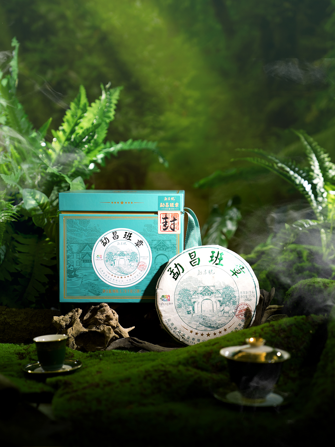 白茶茶饼拍摄 热带绿色丛林感 神秘感