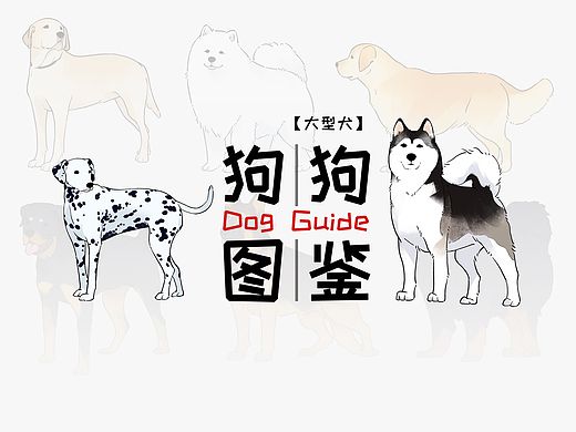 狗狗图鉴（大型犬篇）