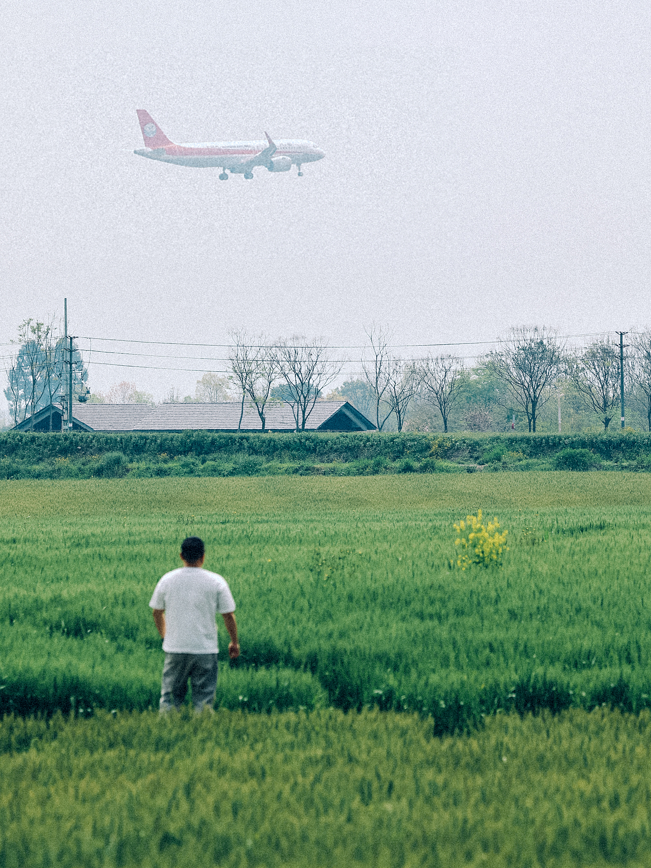 男士人像 | 麦田里的松弛感,男生拍照就该这样摆造型
