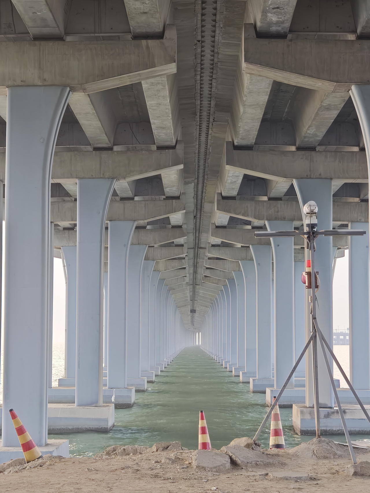 深圳出游日记-西湾红树林公园