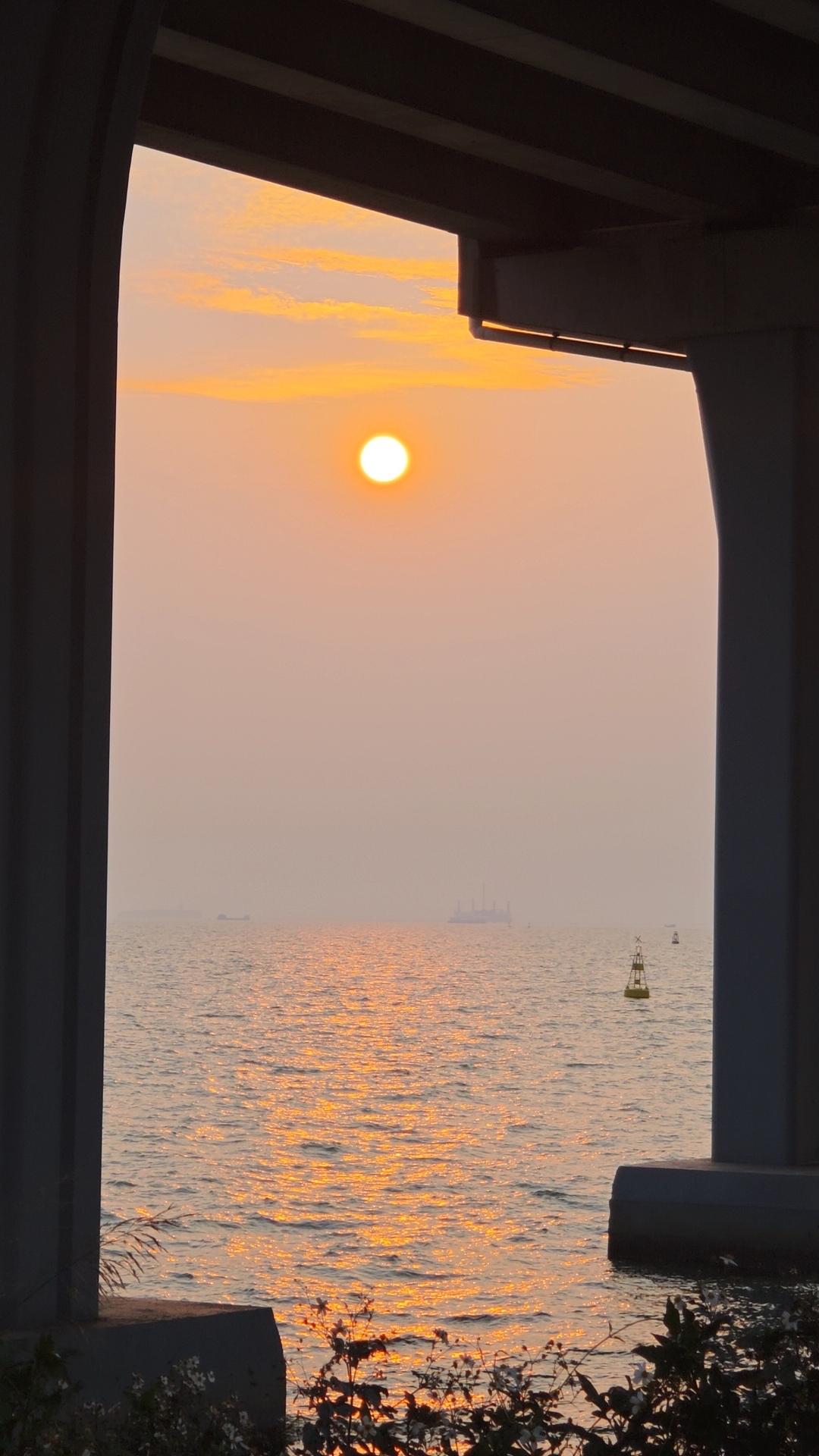 深圳出游日记-西湾红树林公园