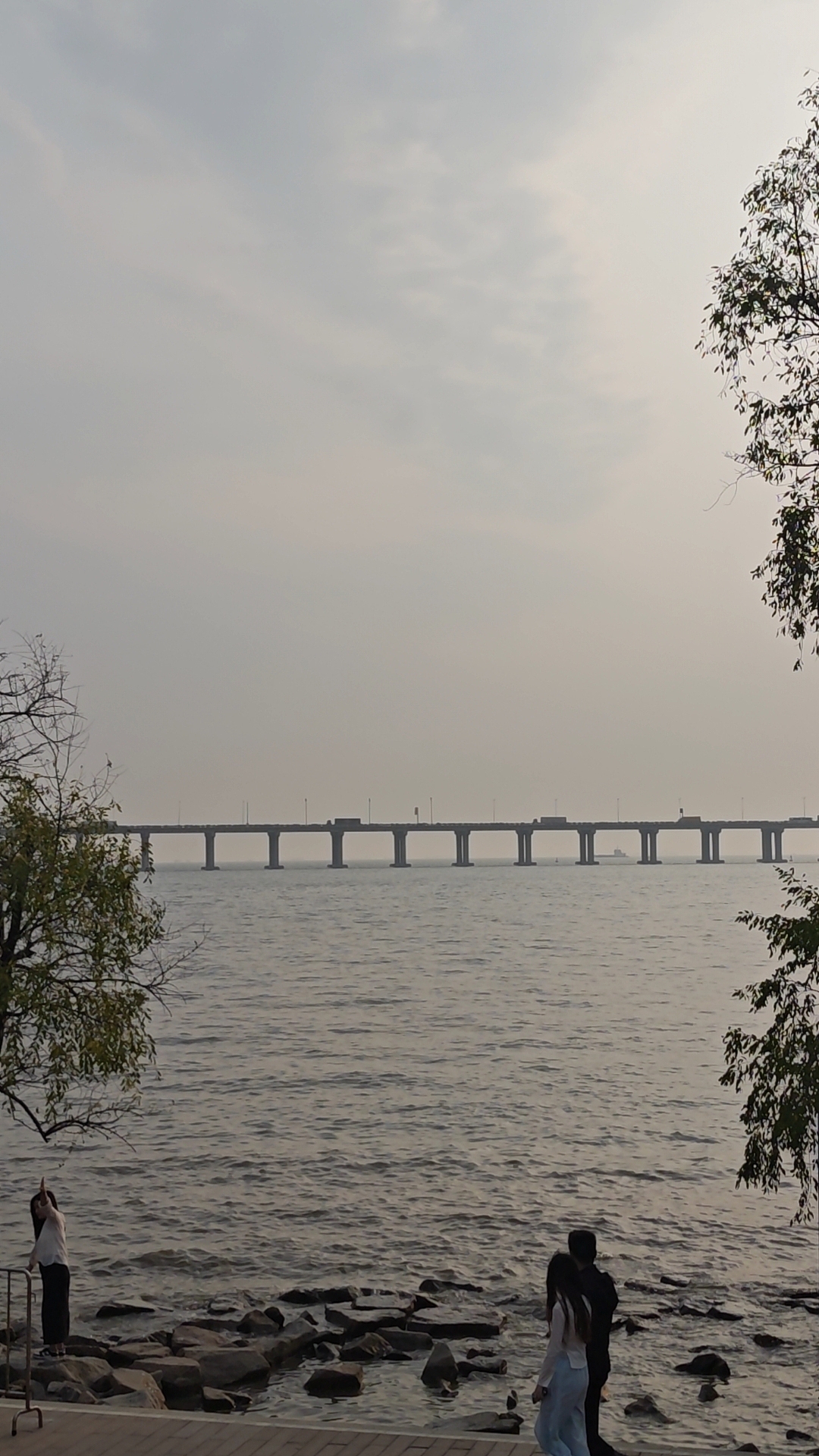 深圳出游日记-西湾红树林公园