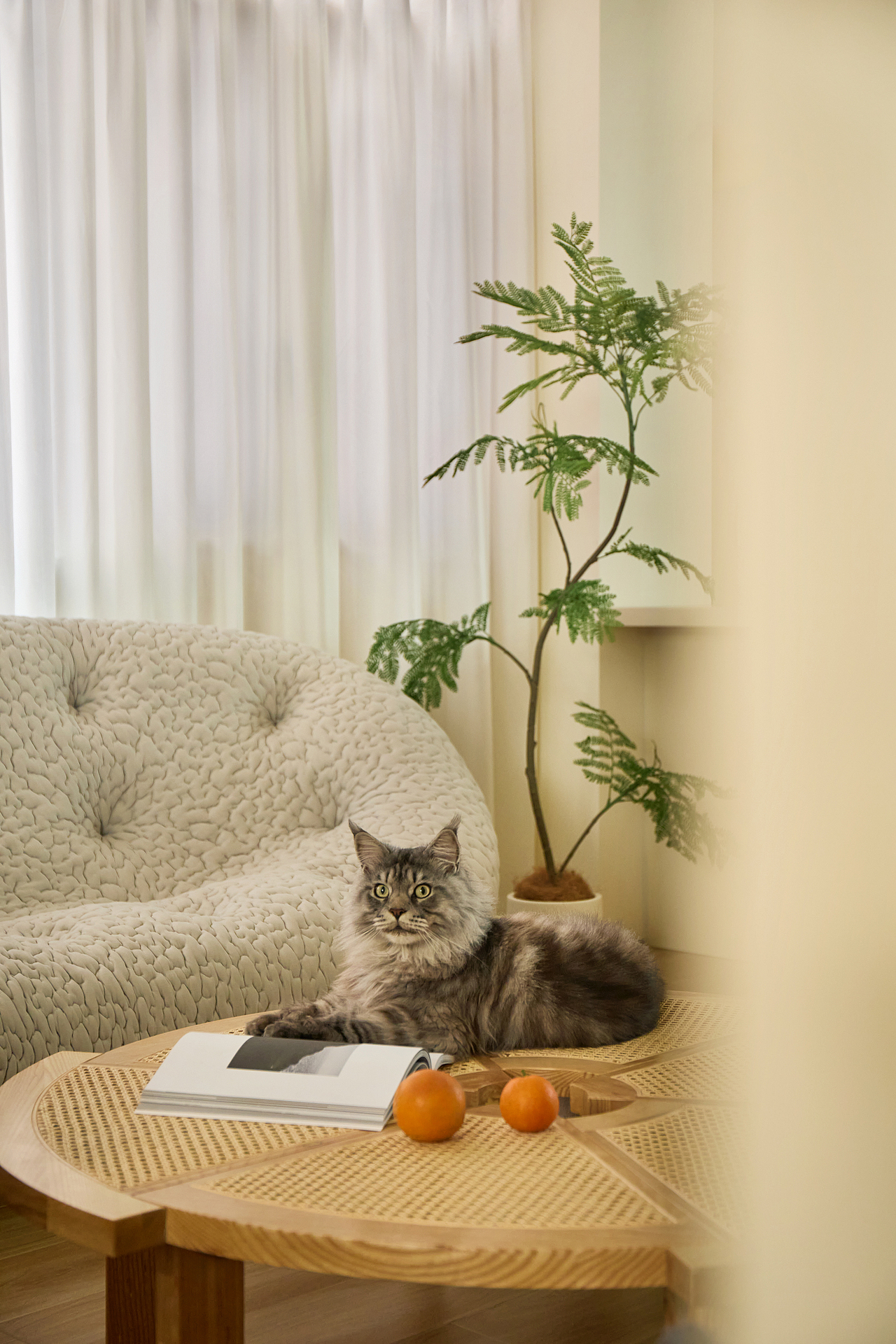 陈智超设计｜在佛山造一座会呼吸的治愈系乌托邦