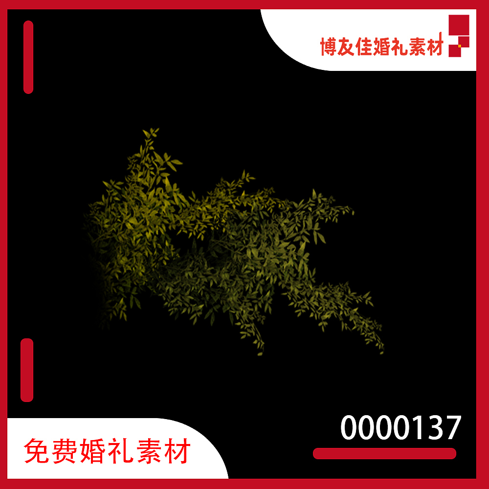 品牌策划-婚礼免费素材第二版