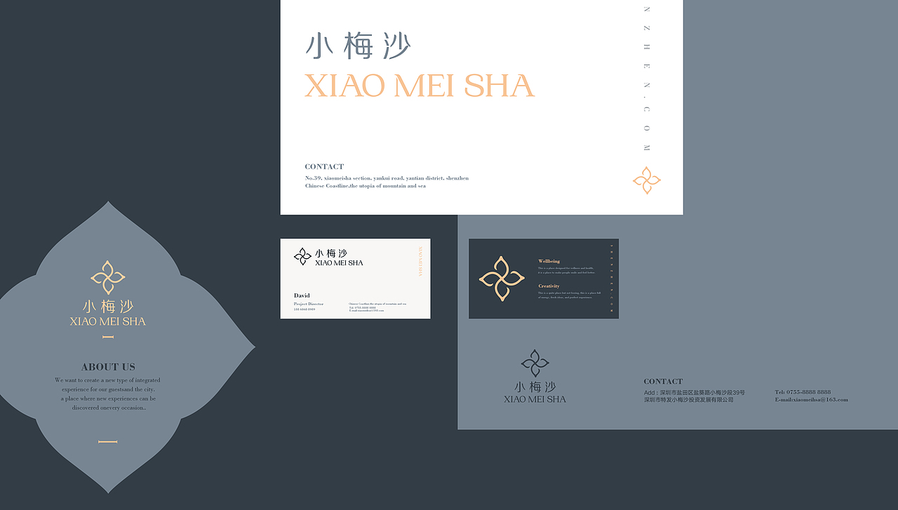 深证市小梅沙logo贴图设计