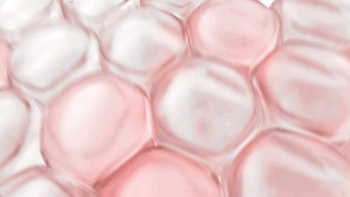 FOCUS X CLINIQUE 倩碧|光子镭射盾——成分&细胞CG