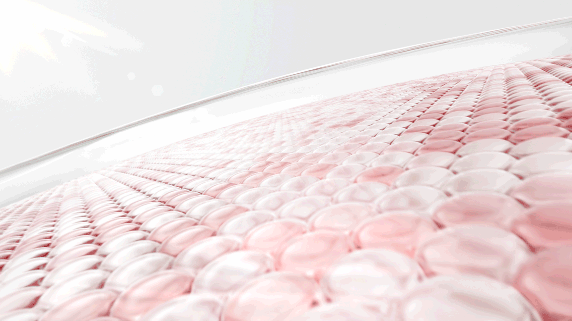 FOCUS X CLINIQUE 倩碧|光子镭射盾——成分&细胞CG