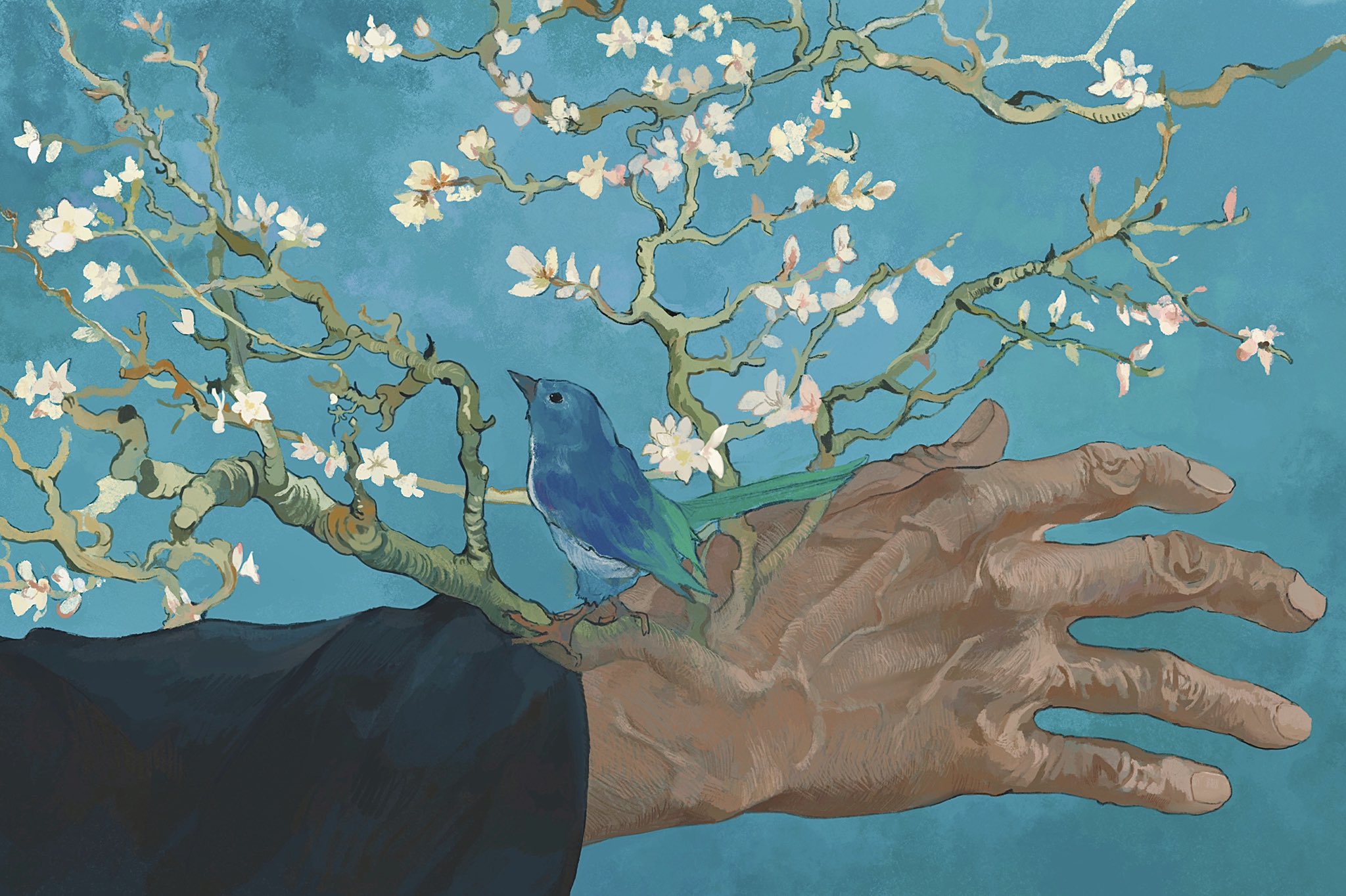 起浪的风的个人主页（封面预览） - 主页封面设置 - 站酷设计师起浪的风原创素材 - 站酷ZCOOL