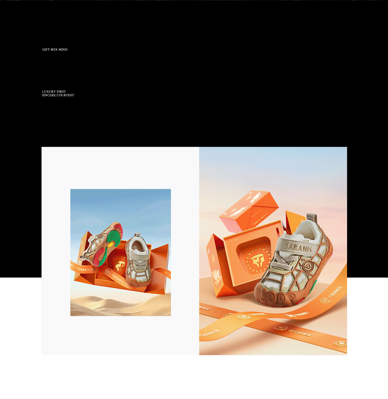 波点视觉x泰兰尼斯品牌战略大单品全案