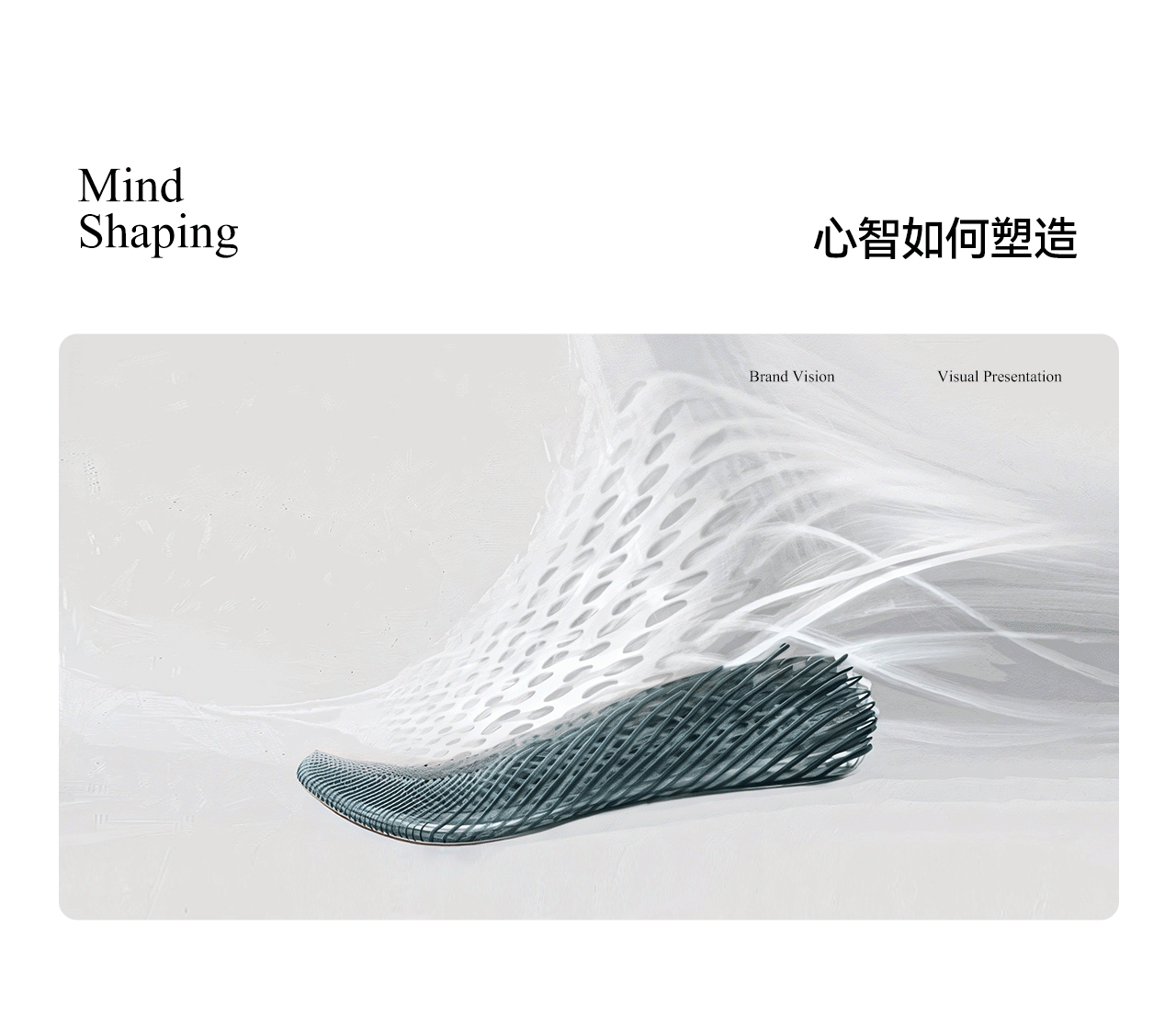 波点视觉x泰兰尼斯品牌战略大单品全案