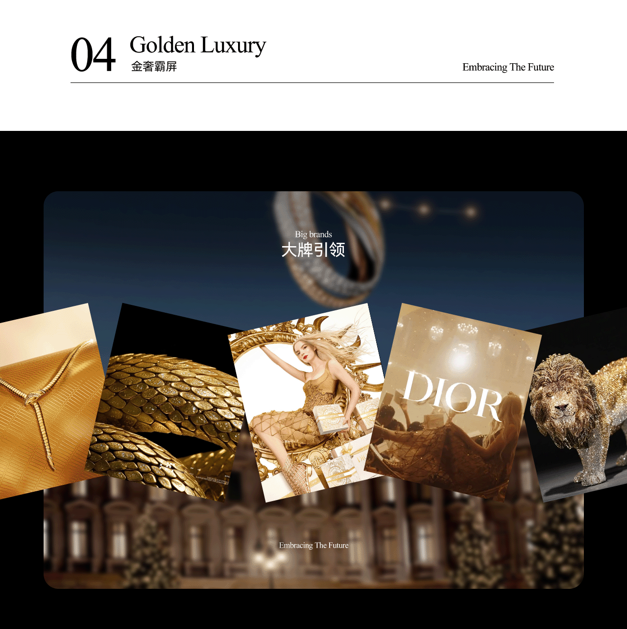 波点视觉x泰兰尼斯品牌战略大单品全案