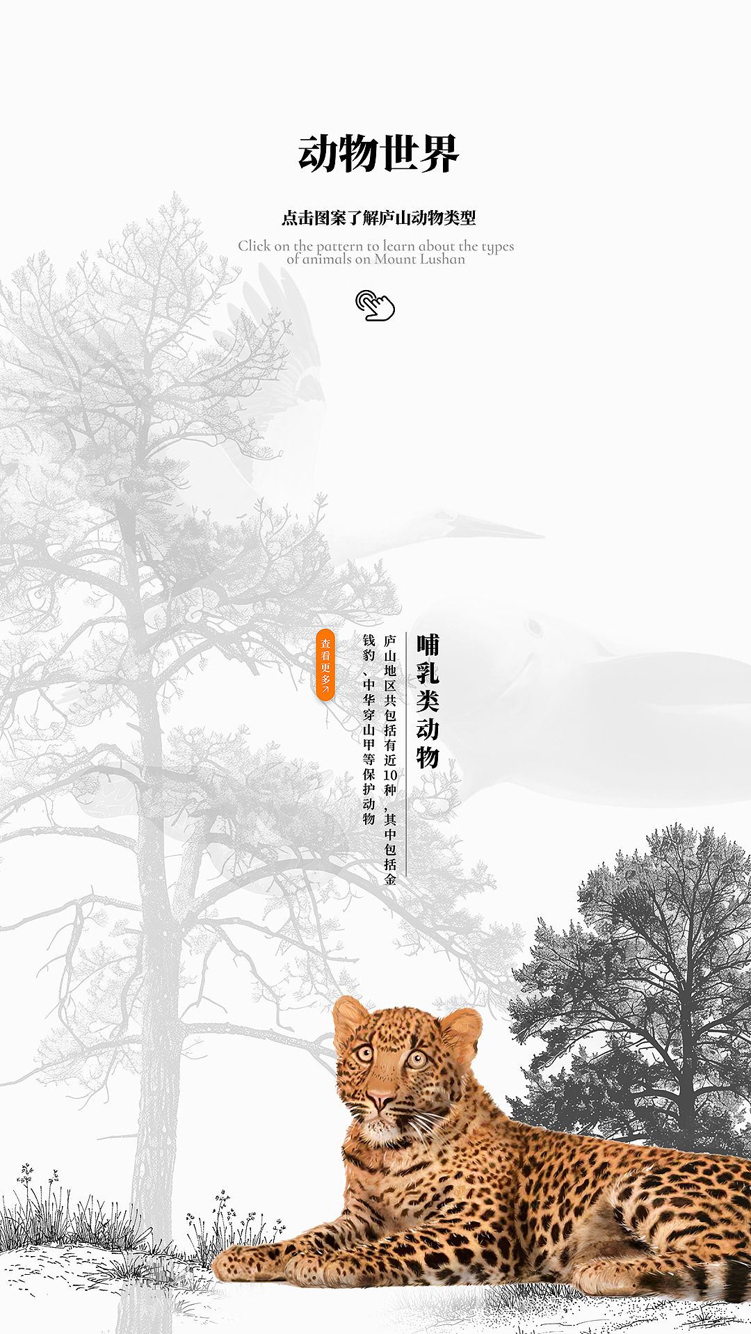 长林风草&动物世界:"庐山天下悠"博物馆互动媒体设计