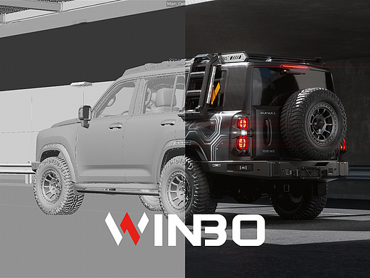 东箭WINBO品牌汽车视频 2025年2月