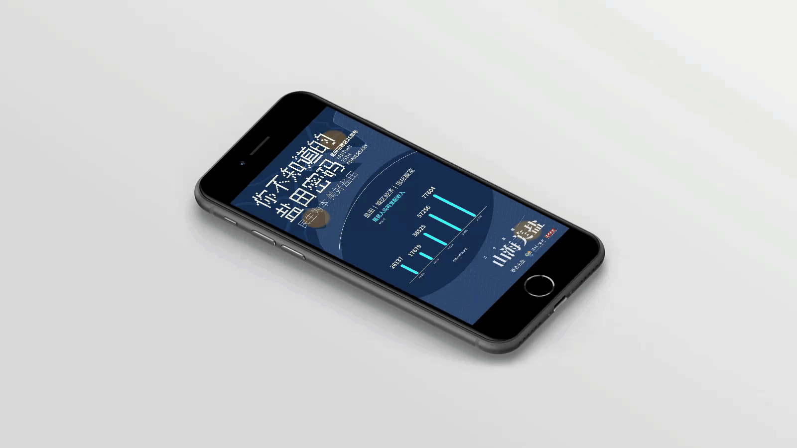 你不知道的盐田密码-动态数据海报