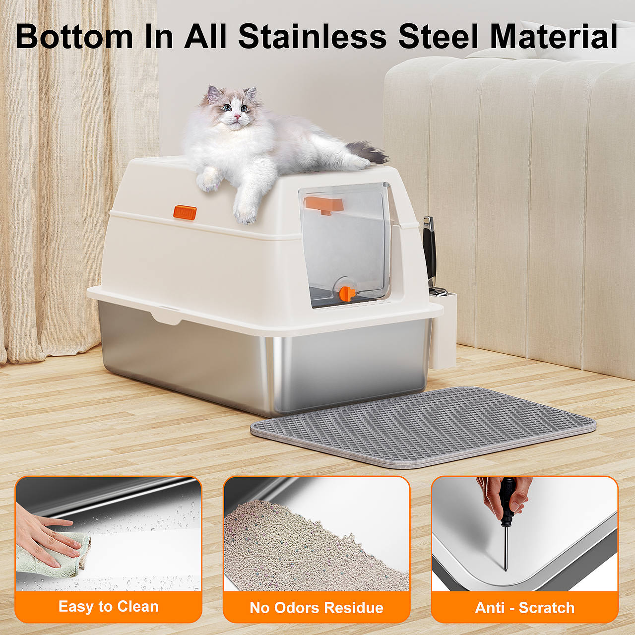 一些亚马逊的图