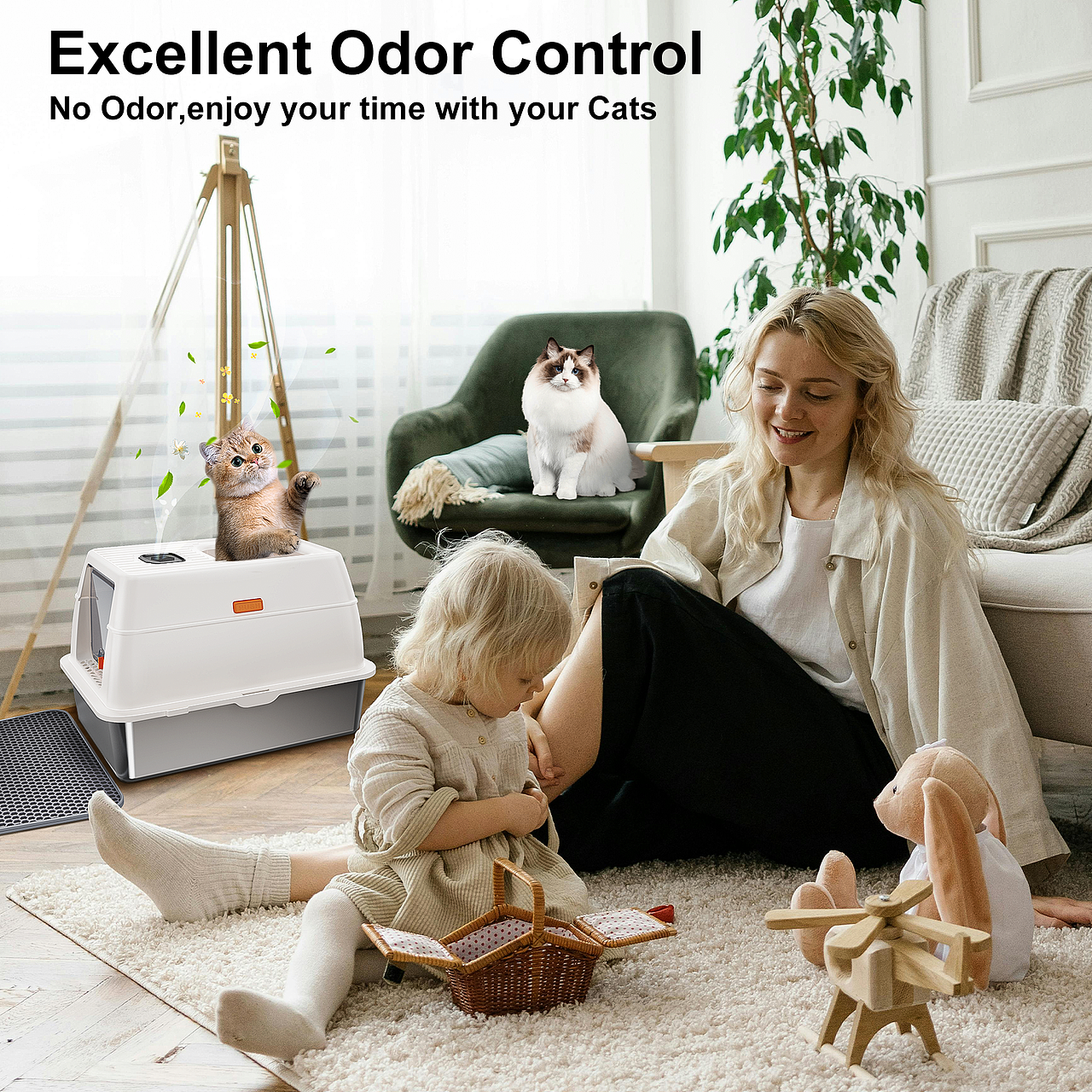 一些亚马逊的图