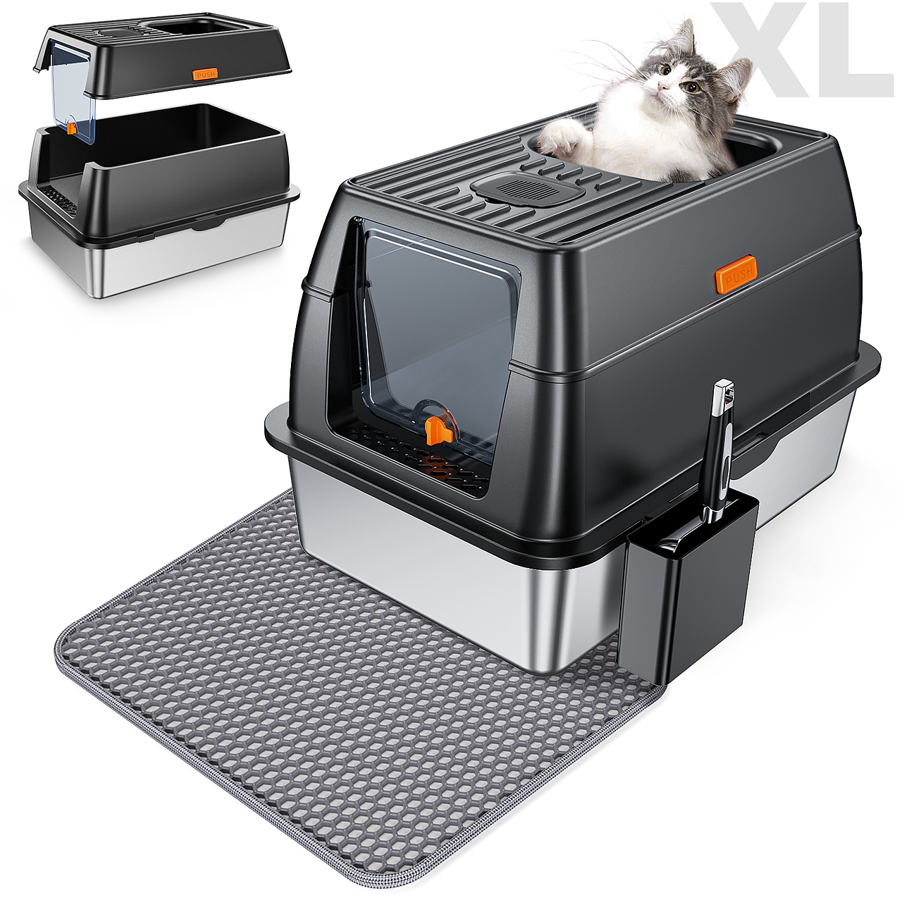 一些亚马逊的图