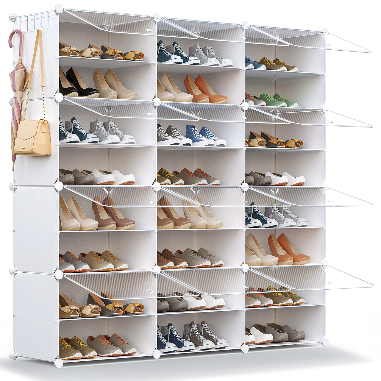 一些亚马逊的图