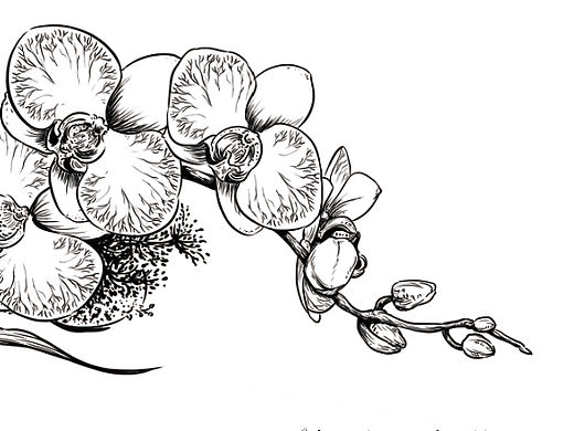贺卡插画