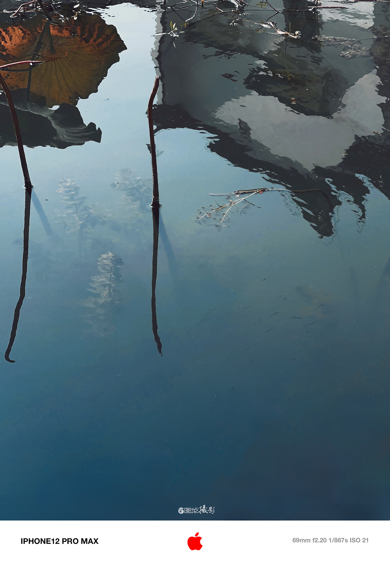 手机摄影笔记｜宏村徽派建筑与自然景观的完美融合（图ZMzg4ODM0OTMy） - 风光摄影 - 站酷设计师图龙摄影原创素材 - 站酷ZCOOL