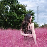 芷柔浅浅的头像