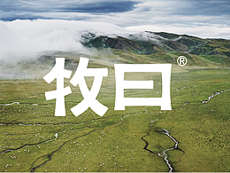 品牌平面