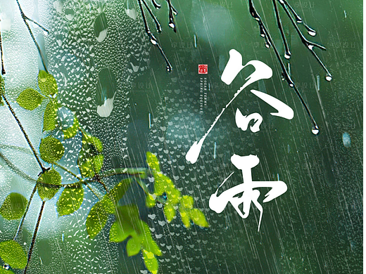 谷雨节气实景海报