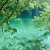 兰泽惠风的头像