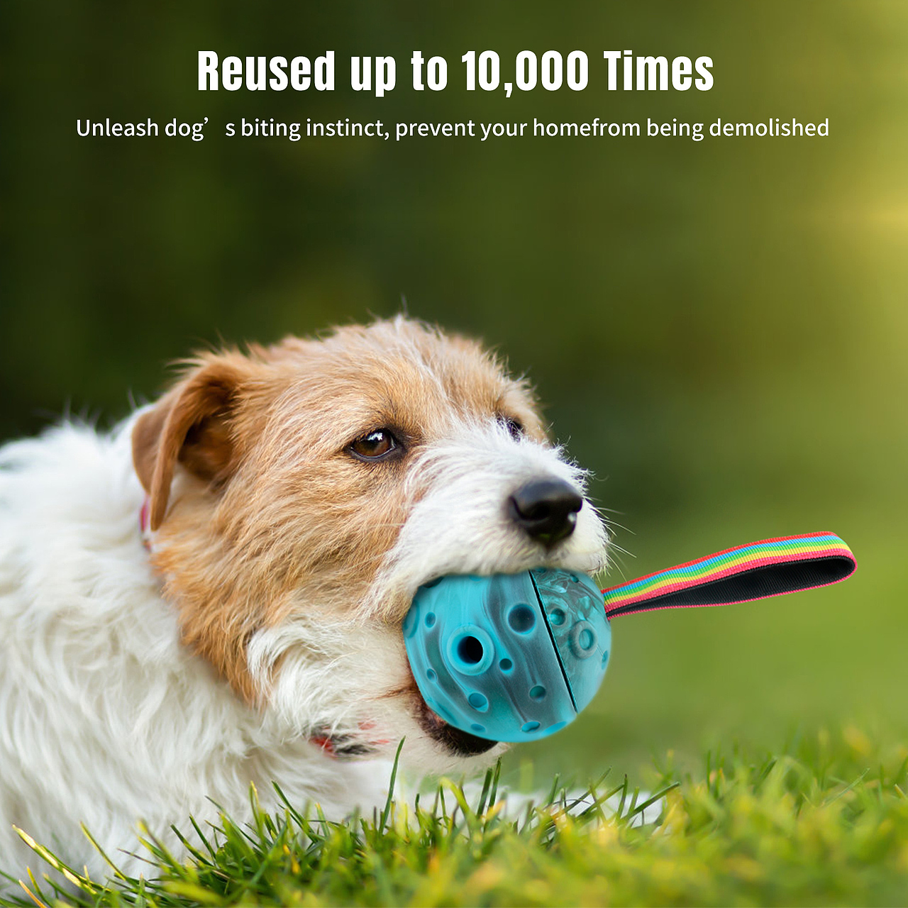 狗狗磨牙玩具（圖ZMzg4ODc5Mzc2） - 電商 - 站酷設(shè)計師cc陳某原創(chuàng)素材 - 站酷ZCOOL