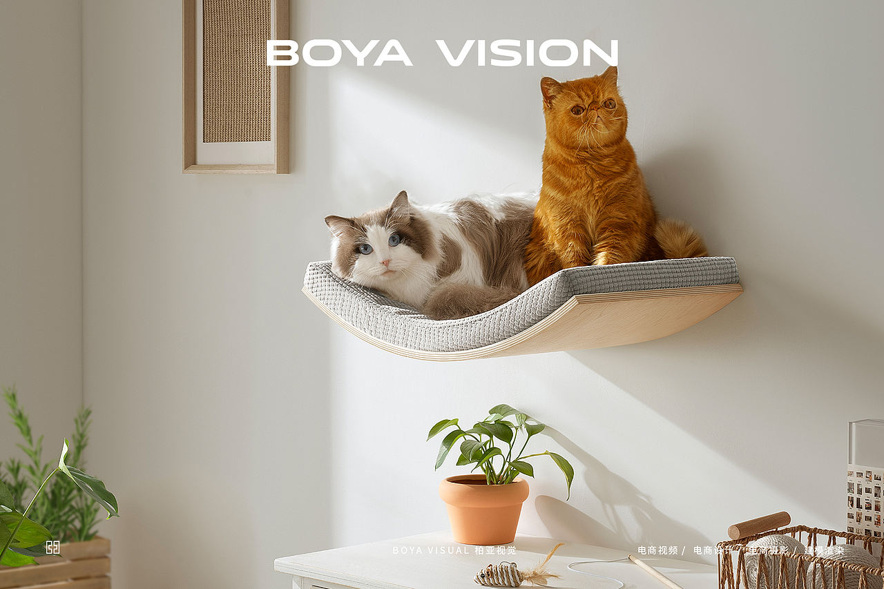 跨境电商宠物用品摄影 ｜猫爬架 X BOYA（图ZMzg4ODkyOTA4） - 产品摄影 - 站酷设计师柏亚视觉摄影原创素材 - 站酷ZCOOL