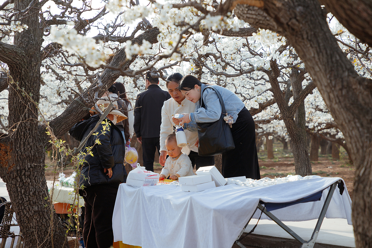 梨乡赏花行（二）（图ZMzg4ODk4MjQ4） - 其他摄影 - 站酷设计师pear1103原创素材 - 站酷ZCOOL