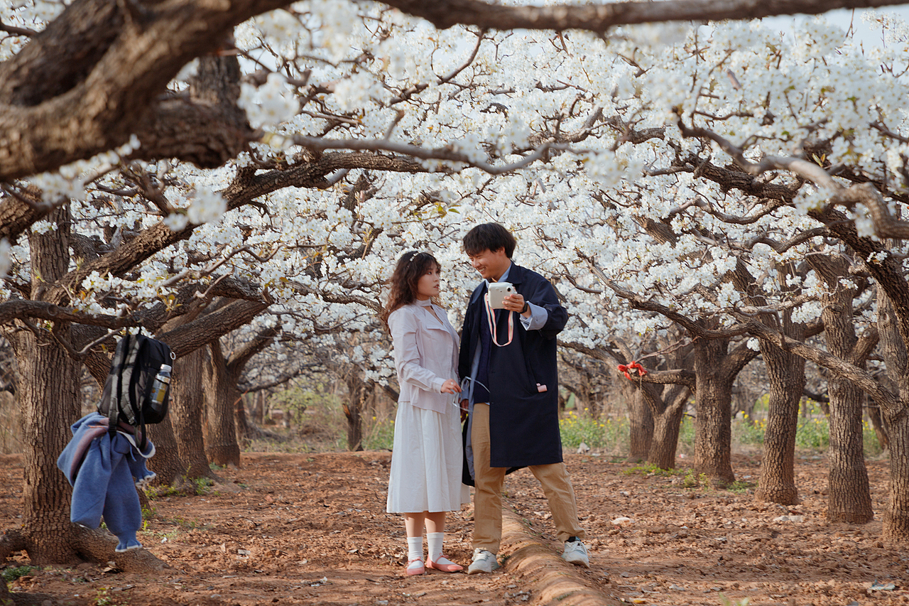 梨乡赏花行（二）（图ZMzg4ODk4MjQ0） - 其他摄影 - 站酷设计师pear1103原创素材 - 站酷ZCOOL