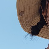 Charon大橙的头像